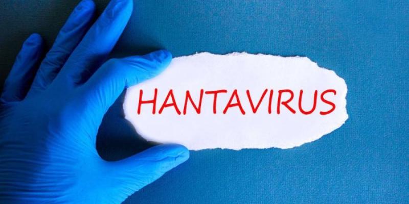 hantavirus asintomático