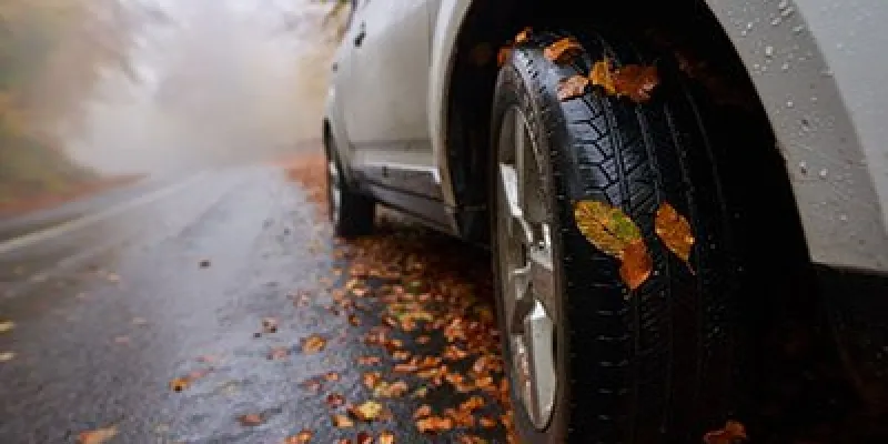Coches y conducción en otoño