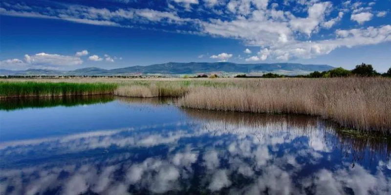 Convenio Ramsar 