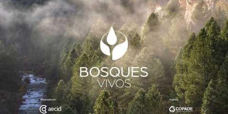 Imagen de una campaña de COPADE donde se puede leer 'Bosques Vivos' y de fondo se ve un bosque lleno de árboles
