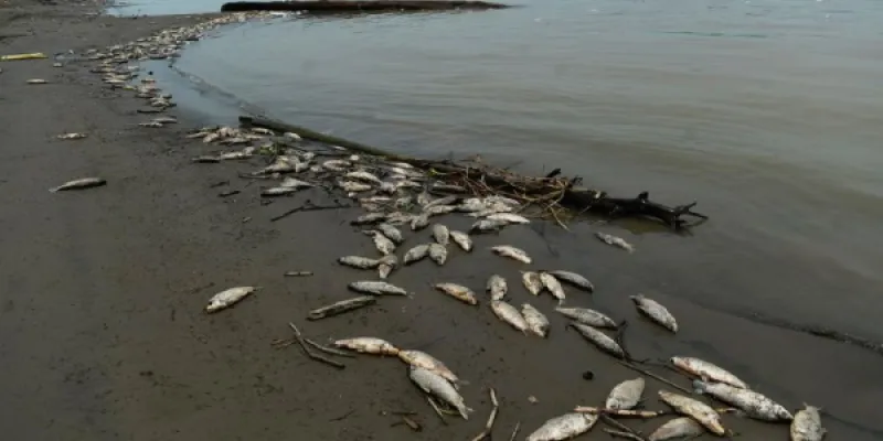 La crisis del agua amenaza la seguridad hídrica