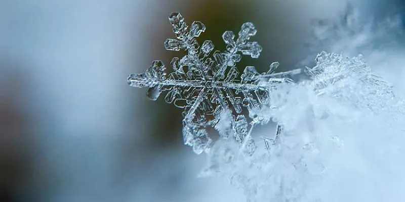 Copo de nieve