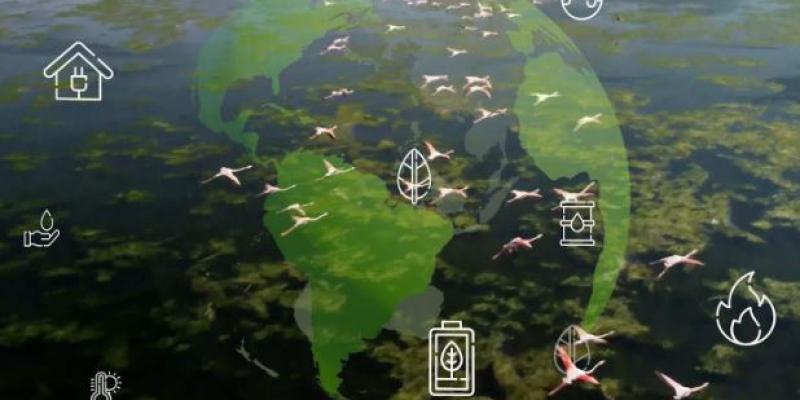 Mapa sostenibilidad empresarial