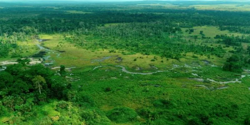  Parque Nacional de Odzala-Kokoua es un refugio vital para elefantes y gorilas de la selva