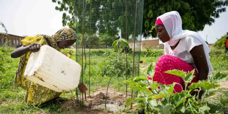 Regreening Africa, la iniciativa por la degradación de la tierra