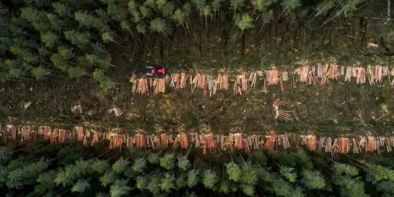 Organizaciones que luchan por los derechos humanos y el medio ambiente