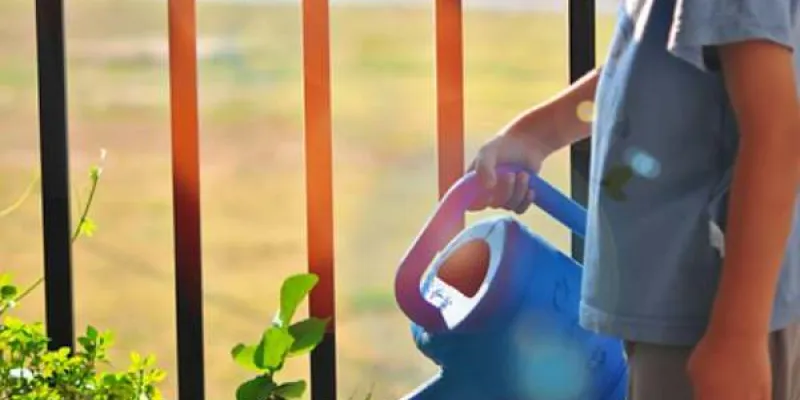 Un niño regando las plantas, ejemplo de educación ambiental.