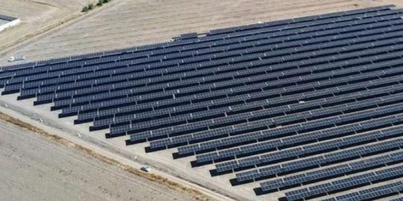 Proyecto solar de Zelestra. 