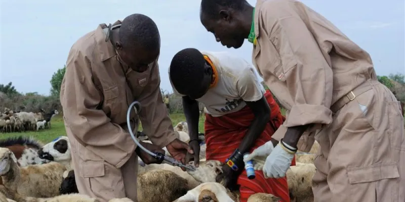 Personas con animales / Foto: portalveterinaria