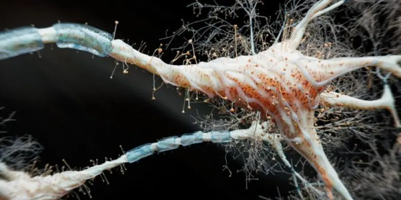 Una imagen renderizada en 3D de una red neuronal.