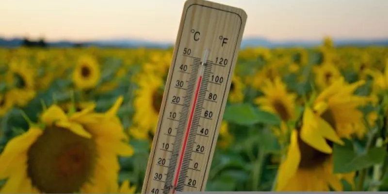 España registra más de 5000 muertes por calor este verano