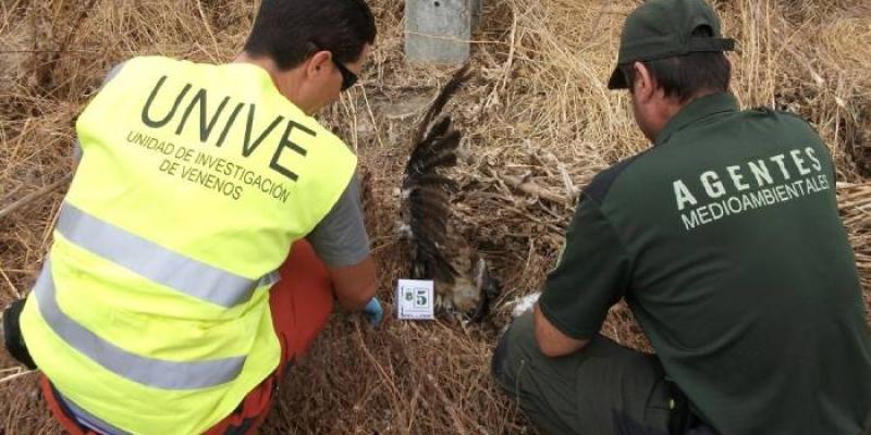 Agentes medioambientales analizan un posible caso de veneno a una ave 