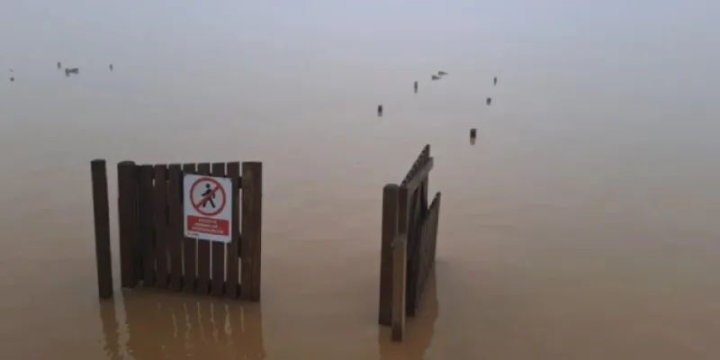 'Albufera tras la DANA