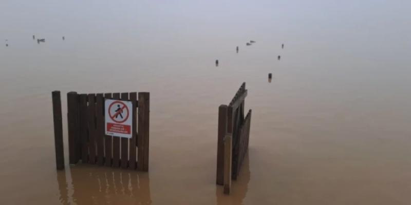 'Albufera tras la DANA