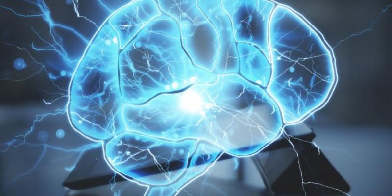 neurociencia