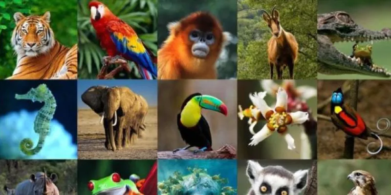 Especies de fauna y flora