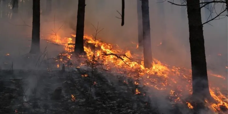 Incendio 