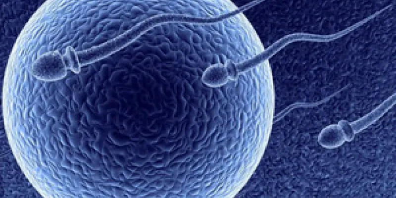 Calidad de los espermatozoides