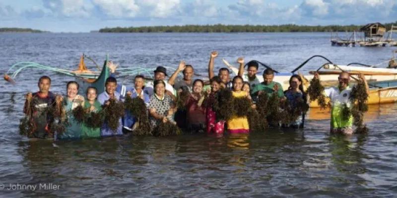 CODESPA y Open Value Foundation impulsan una cooperativa de 400 productores de algas en Filipinas