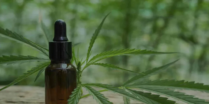 Flores CBD natural