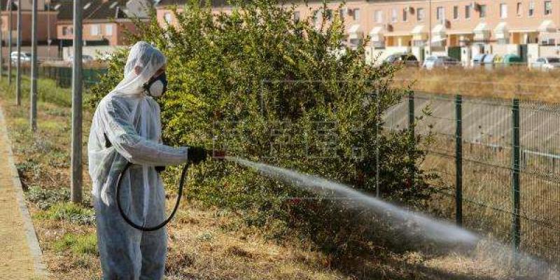 Fumigación en Doñana