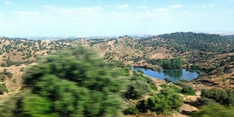 Pequeño embalse natural en la Sierra de Córdoba