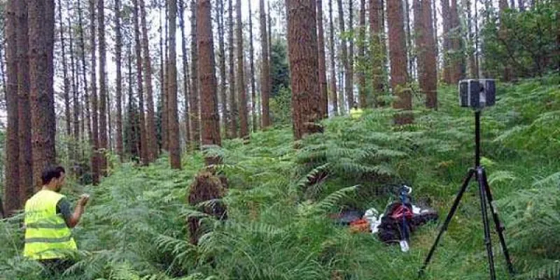 La gestión forestal protege nuestros bosques