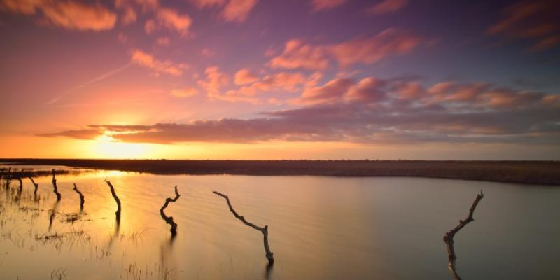 Doñana atesora el maor humedal de Europa 