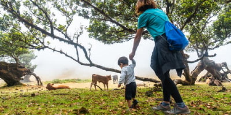 Un estudio habla sobre el concepto de ser hijo único