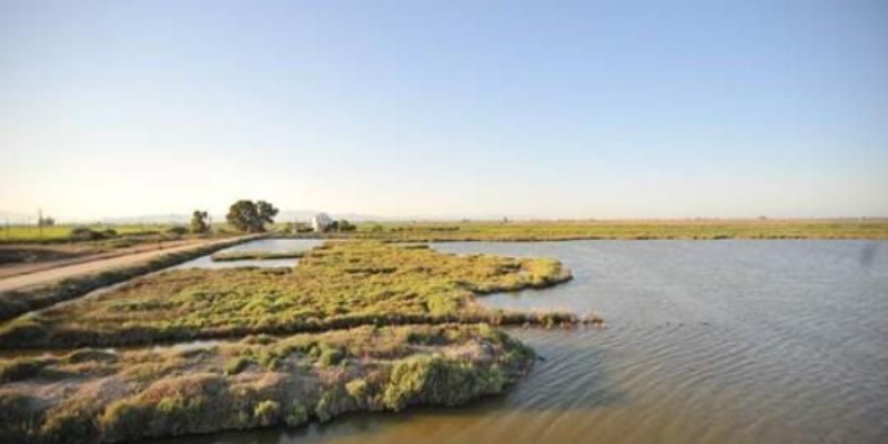 Imagen Delta del Ebro que muestra la orilla de una laguna con una casa al fondo