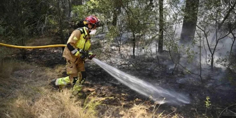 Efectivos de bomberos trabajan en Castellón