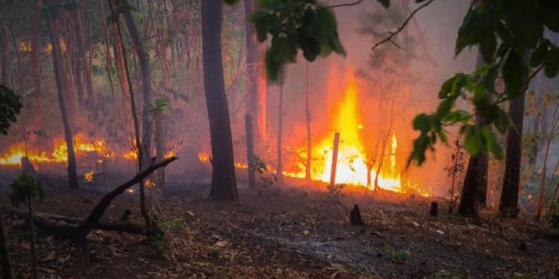 El humo de los incendios y la salud