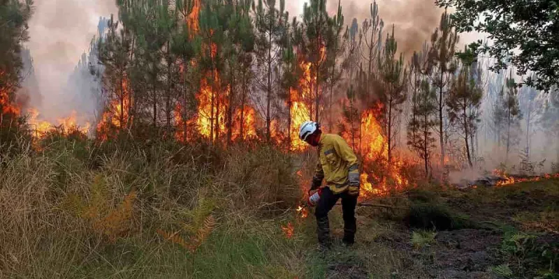 Aumentan los incendios forestales en 2026