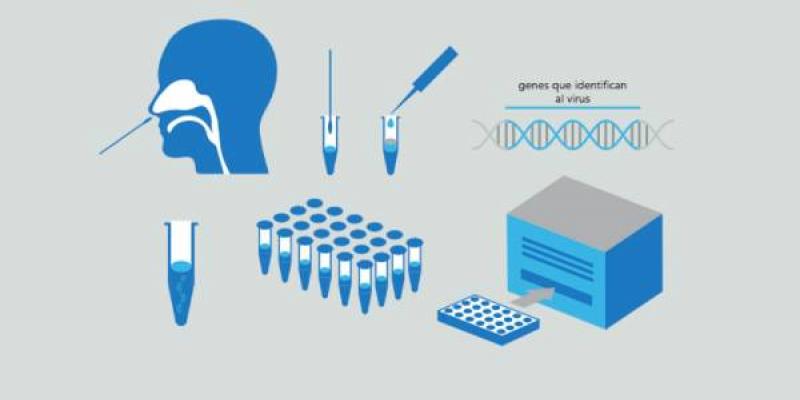 Infografia de una PCR para el diagnóstico de COVID-19