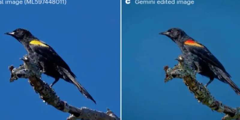 Imagen real de un pájaro y luego retocada con inteligencia artificial