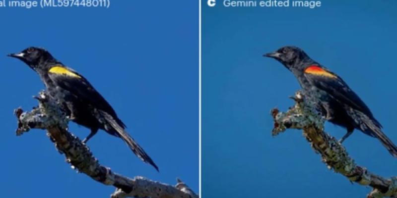Imagen real de un pájaro y luego retocada con inteligencia artificial