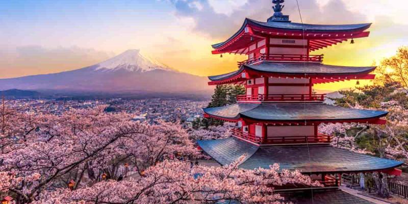 JESTA, documentación para viajar en Japón