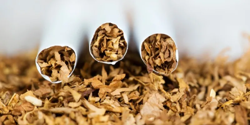 tabaco