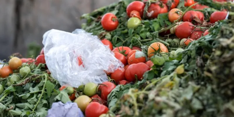 desperdicio alimentario 