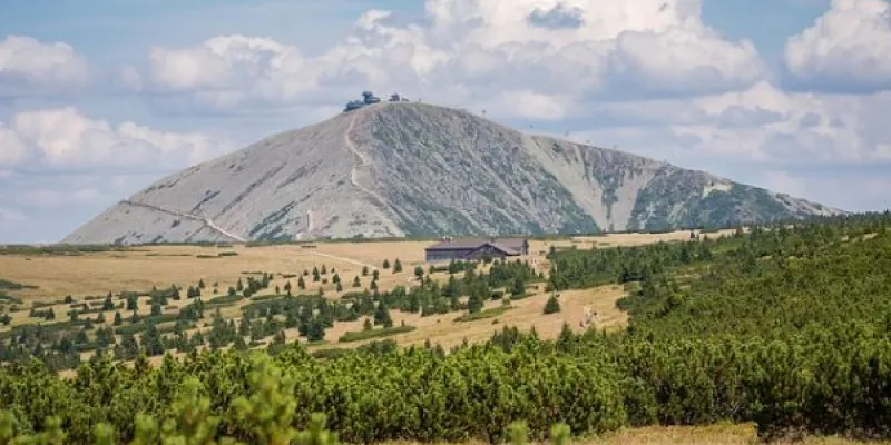 Limpiar los montes