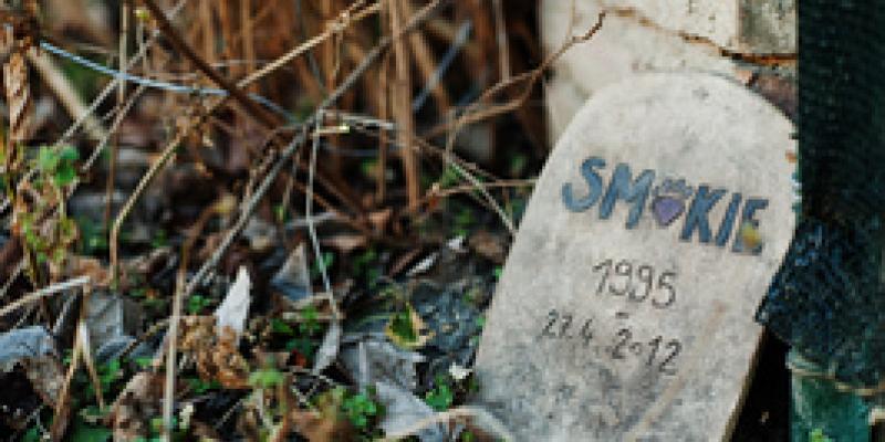 Así es el primer cementerio público de mascotas en Málaga