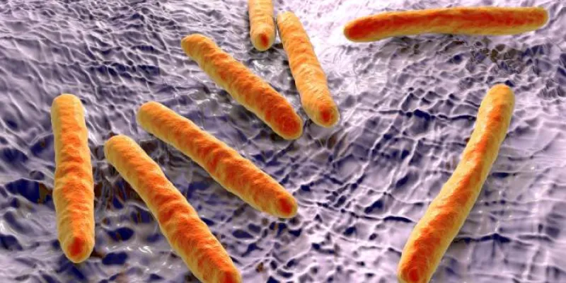Bacteria que causa la tuberculosis