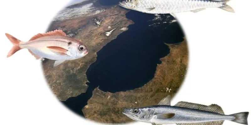 Conectividad y límites poblacionales de especies marinas en el mar de Alborán