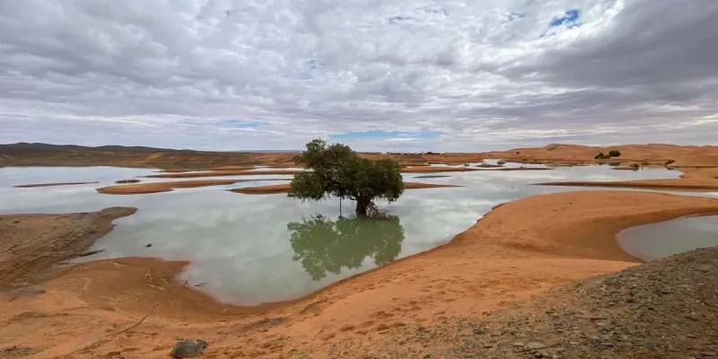 Imágenes de las lagunas de agua formadas en el desierto de Merzouga, en Marruecos