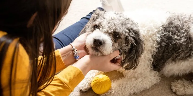 Una joven juega con su perro 