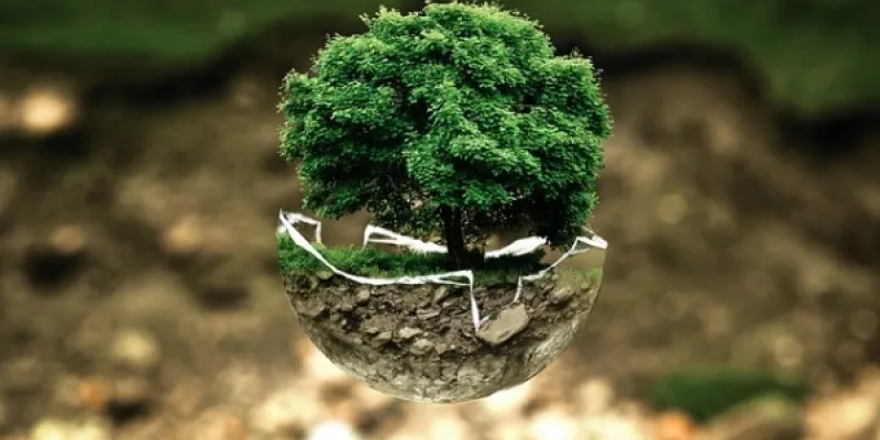 Medio ambiente roto