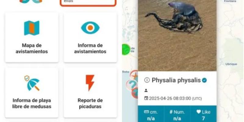 Una captura de MedusApp