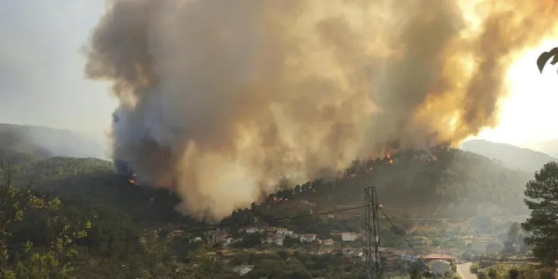 Los megaincendios y sus gravves consecuencias