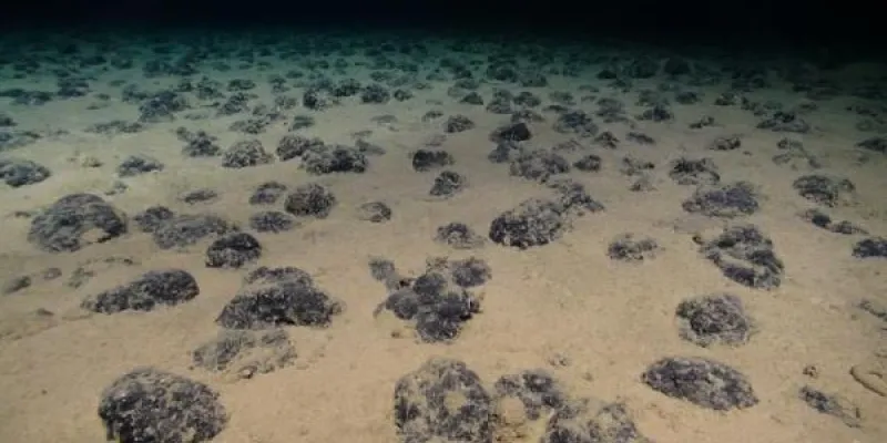 La minería submarina daña los ecosistemas por años