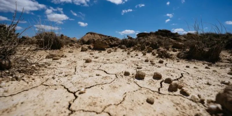 Terreno árido con suelo agrietado 
